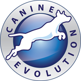 Canine Evolution